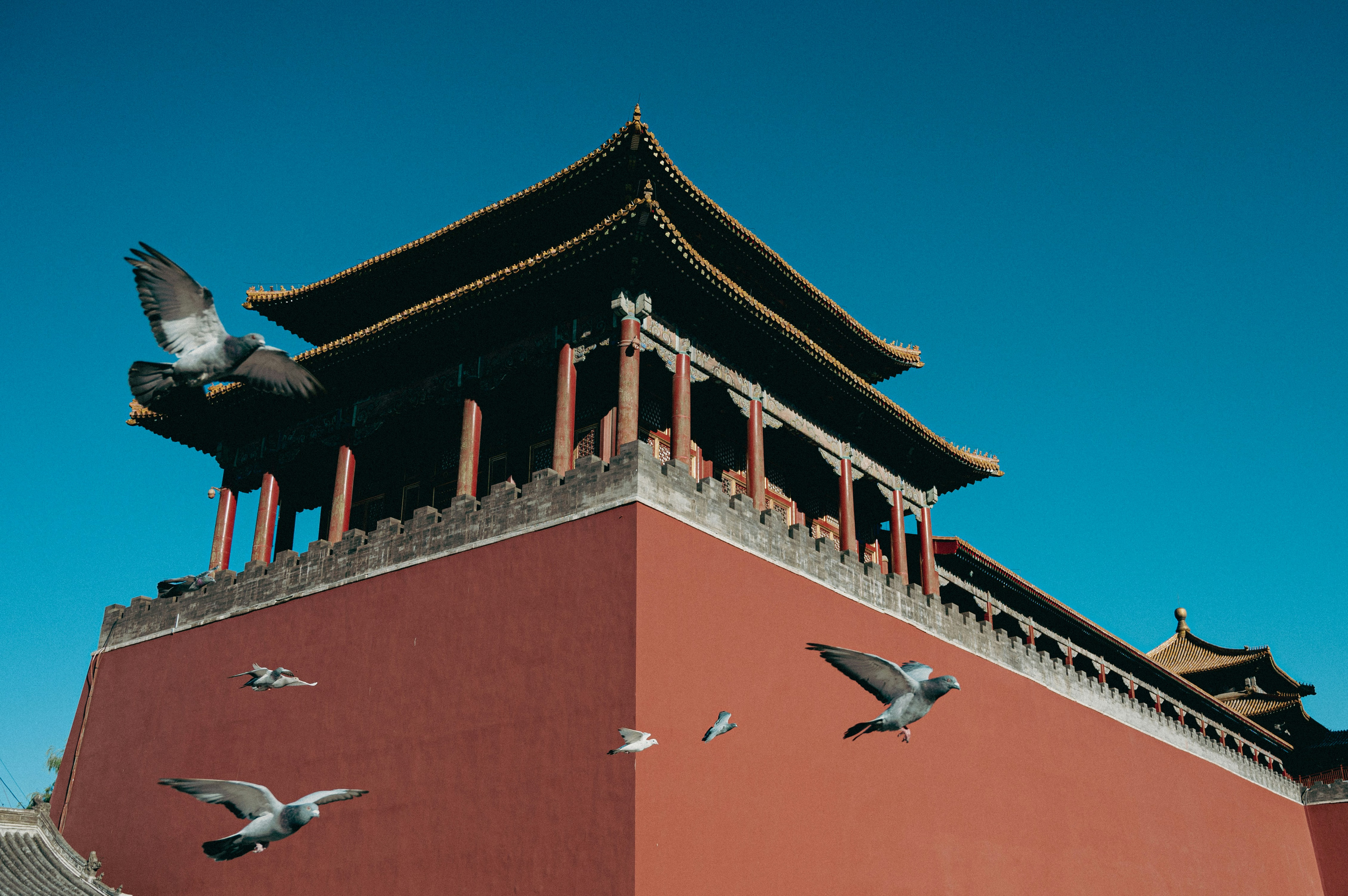 Vermilion Walls — Architecture